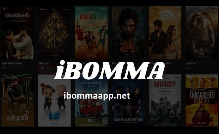 ibomma app download