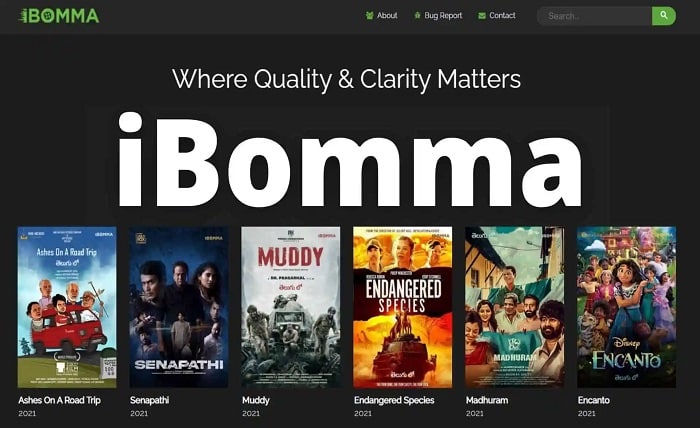 iBOMMA Cinema App