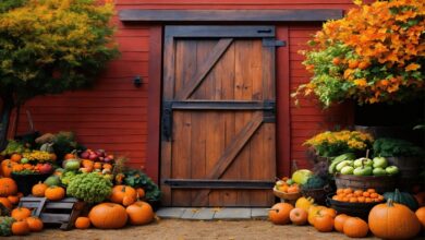 Significance of Country Doors