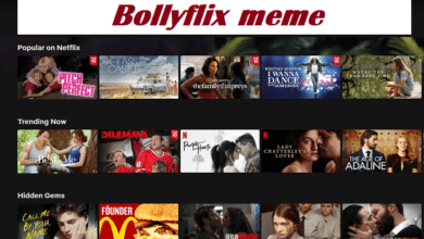 bollyflix meme