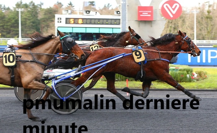 pmumalin derniere minute